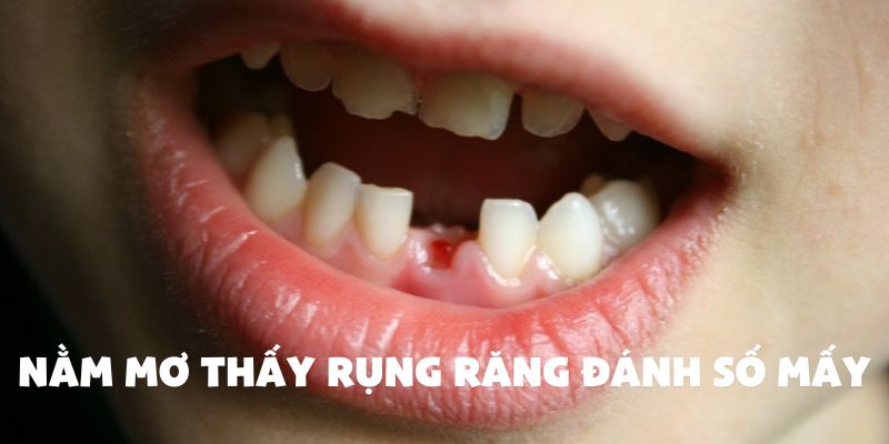 man-mo-thay-rung-rang-danh-so-may-anh-dai-dien.jpg